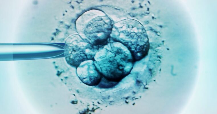 What Fertility Doctors Wish You Understood About IVF